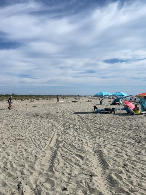 la Lecciona Spiaggia naturista;naturist beach