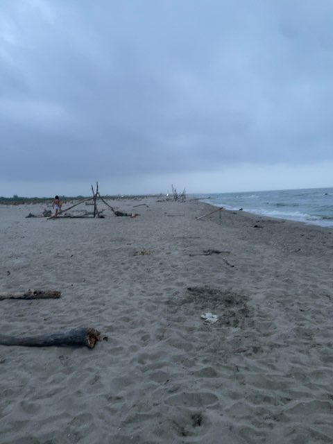 Spiaggia Della Lecciona, Viareggio